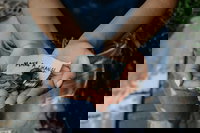 5 per mille 2026: come iscriversi, riceverlo e rendicontarlo