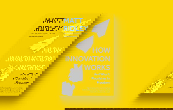 Associazione riconosciuta o non riconosciuta: differenze e come scegliere